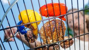 Frau grillt Fleisch und Paprika