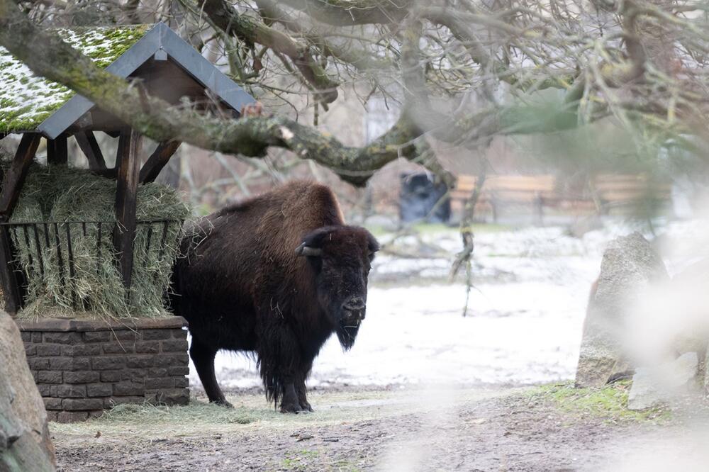 Tierpark Berlin