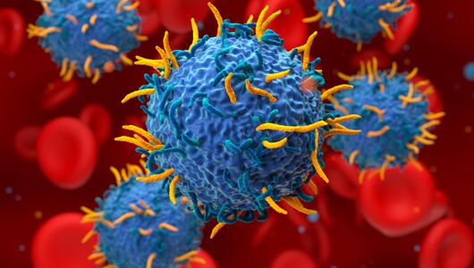 CAR-T-Zellen, Blutkrebs, Immuntherapie, Behandlung, Forschung