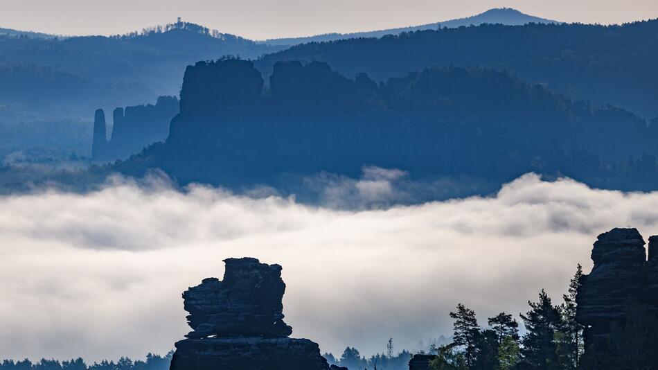 Nebel in Sachsen