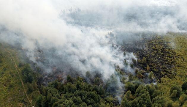 Waldbrand im Hohen Venn