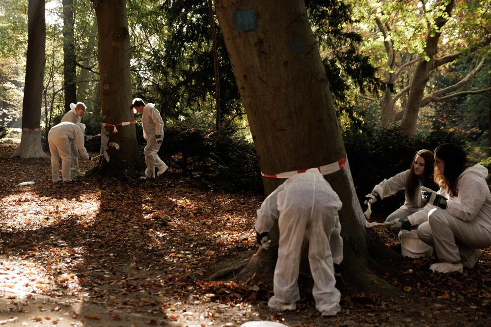 Schutzanstrich gegen Biberverbiss im Berliner Tiergarten