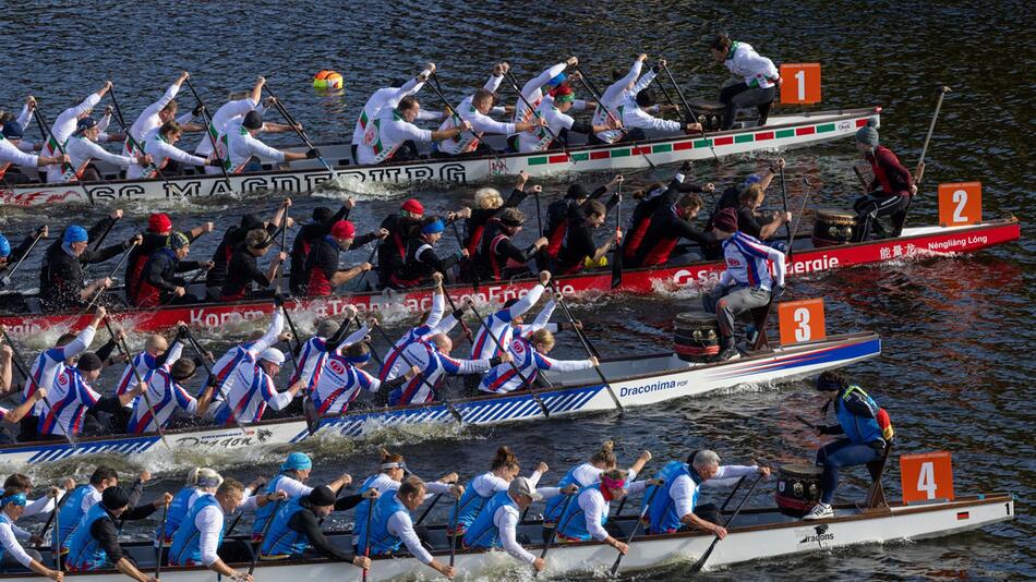 Langstreckenregatta im Drachenbootsport auf der Bleilochtalsperre