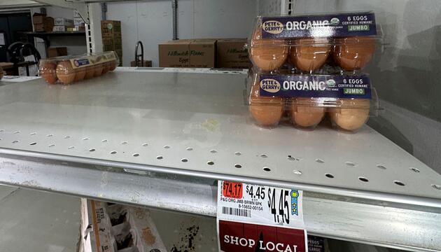 Hohe Eierpreise in den USA