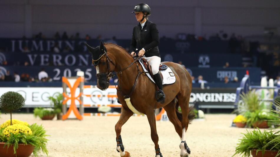 Springpferd in Verona