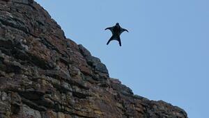 Basejumper springt von 3.450 Meter hohem Alpengipfel in Tod