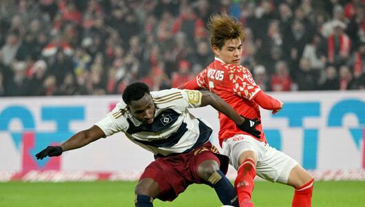 FSV Mainz 05 - Hamburger SV