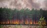 Waldbrände, Frankreich, Spanien, Europa, Extremfeuer, Hitze, Brandgefähr