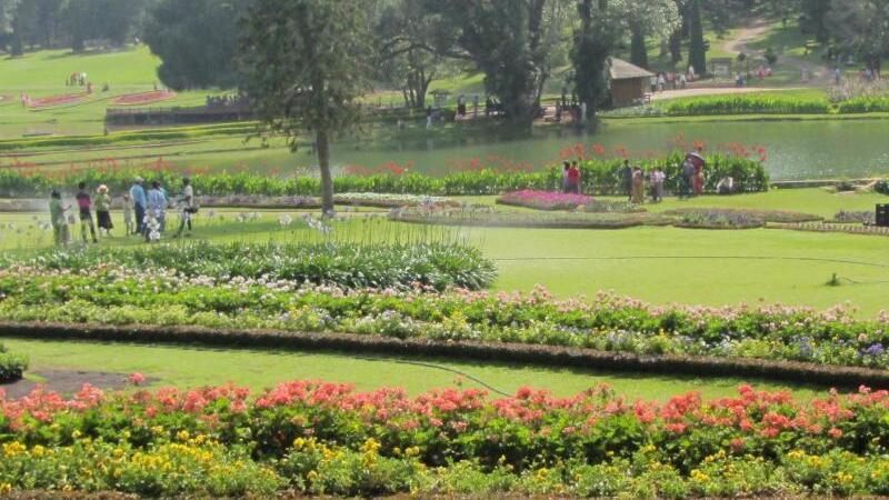 Kandawgyi Garten