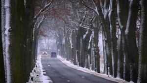 Trüber Wintermorgen in Brandenburg