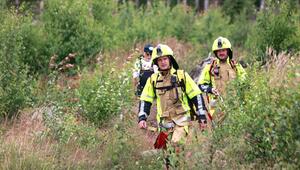 Einsatzkräfte der Feuerwehr suchen ein Waldstück nach einem Feuer ab
