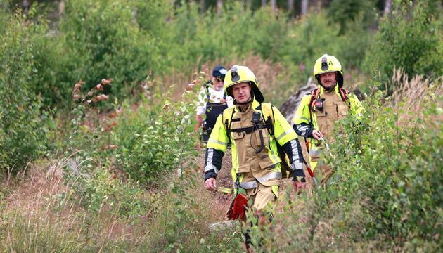 Einsatzkräfte der Feuerwehr suchen ein Waldstück nach einem Feuer ab