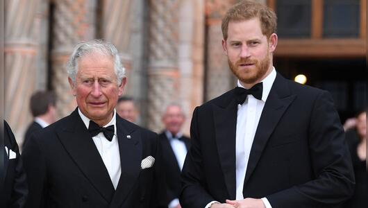 König Charles und Prinz Harry könnten sich endlich wieder anfreunden.