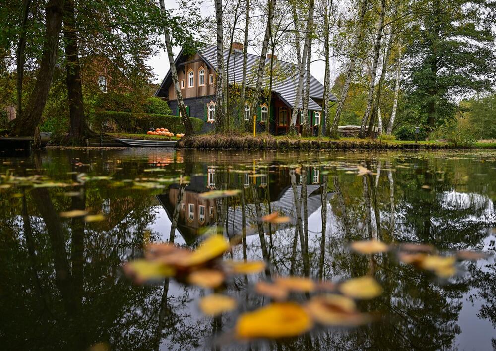 Herbst im Spreewald