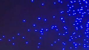 Lichtshow-Chaos: 89 Drohnen stürzen beim Vivid Festival in Sydneys Hafen