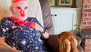 Alien im Wohnzimmer: Hund erkennt Oma mit Rotlichtmaske nicht