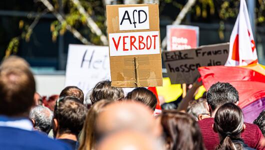 Demonstrationen gegen die AfD.