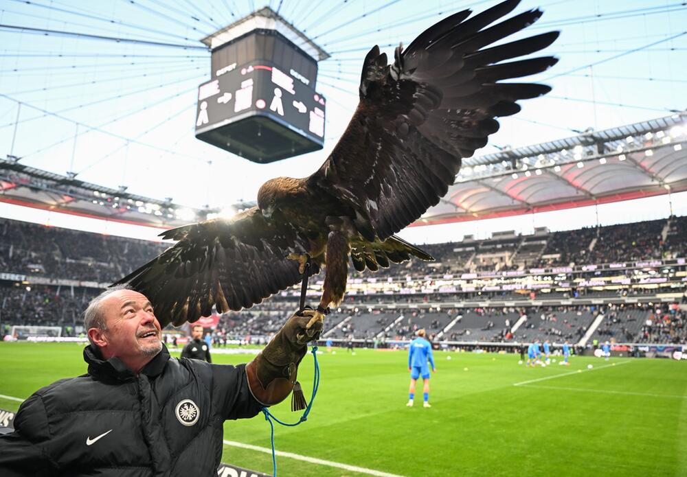 Eintracht Frankfurt - Holstein Kiel