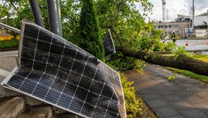 Ein Solarzellenmodul liegt am Straßenrand