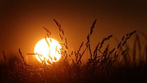 Sommerliches Wetter