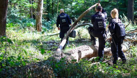 Strom-Sabotage: Suche nach Verdächtigem am Hambacher Forst