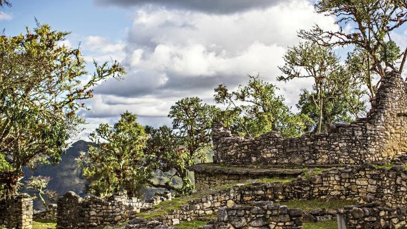 Festung Kuélap im Norden Perus