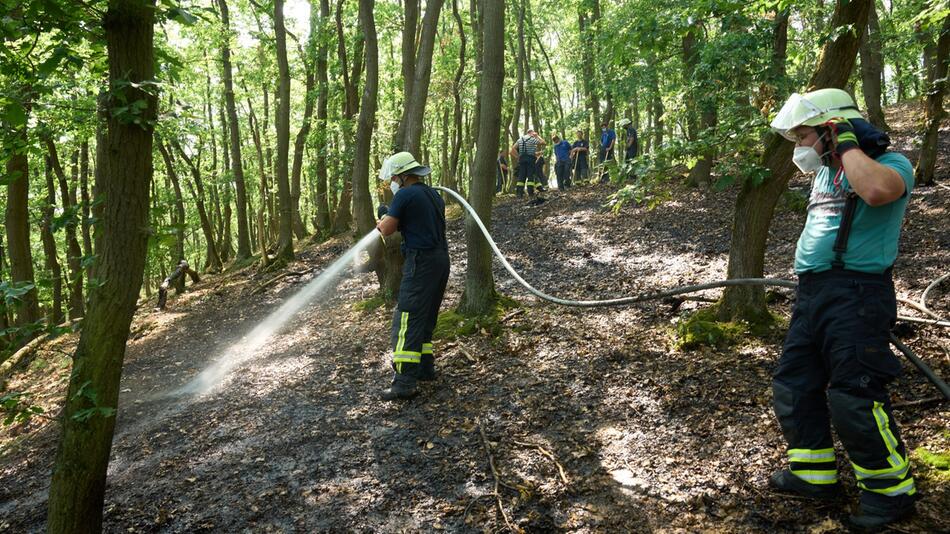 Waldbrand bei Koblenz