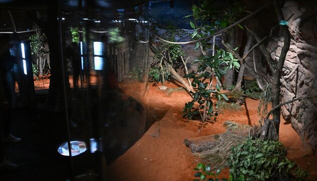 Terra Australis in der Wilhelma