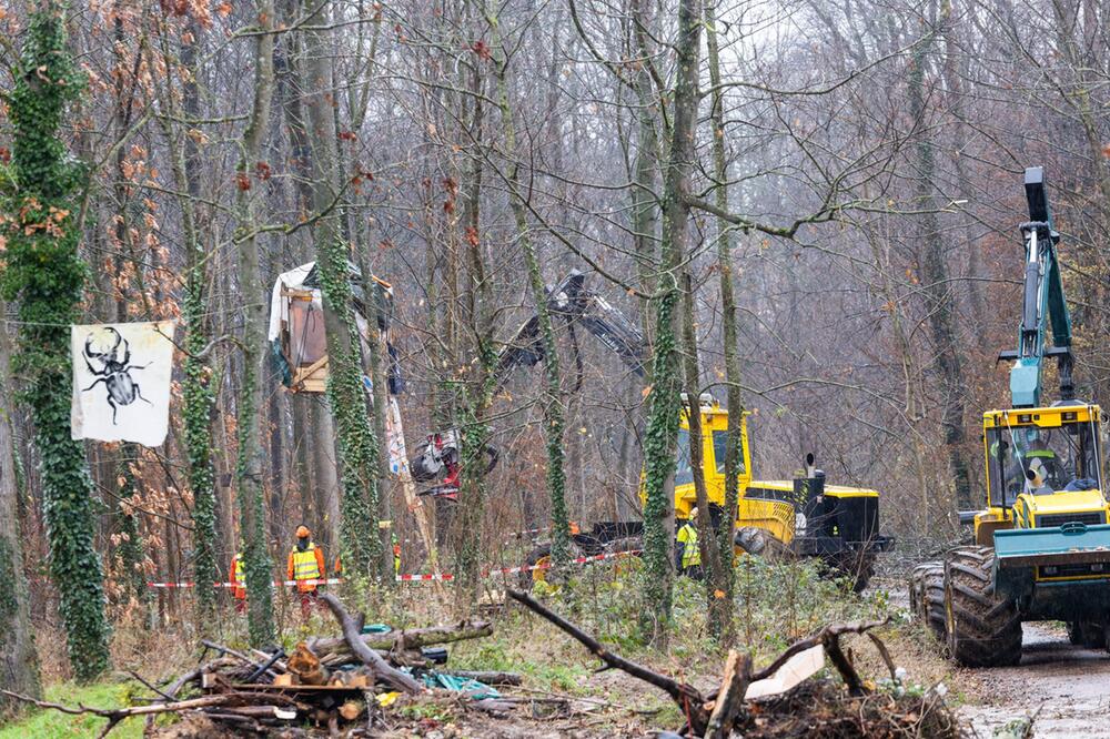 Aktivisten sollen Waldgebiet in Freiburg verlassen