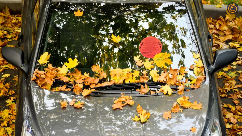 Roter Aufkleber auf der Autoscheibe