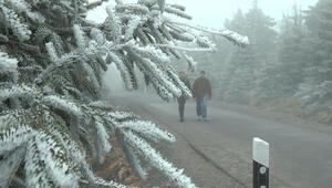 Zurück in den Winter: Frost auf dem Brocken