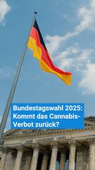 Bundestagswahl 2025: Kommt das Cannabis-Verbot zurück?