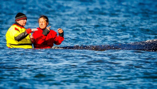 Umweltminister Till Backhaus im Wasser