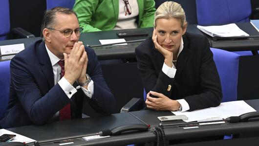 AfD