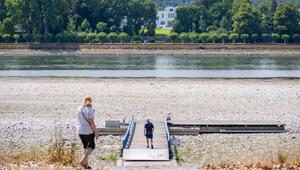 Niedrigwasser im Rhein