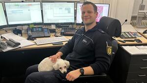 Malteser-Mischlings-Hündin bei der Polizei