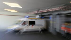 Frankreich meldet ersten Shamonda-Virus-Fall beim Menschen