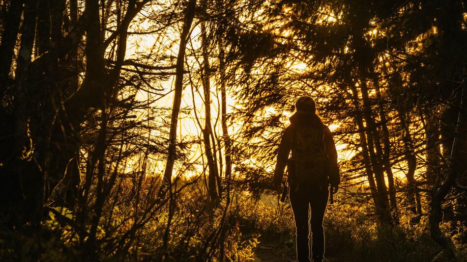 Eine Frau wandert am Feldberg