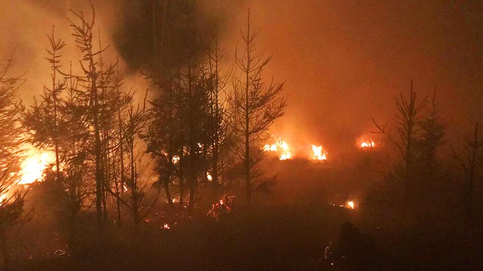 Feuer im Seulingswald