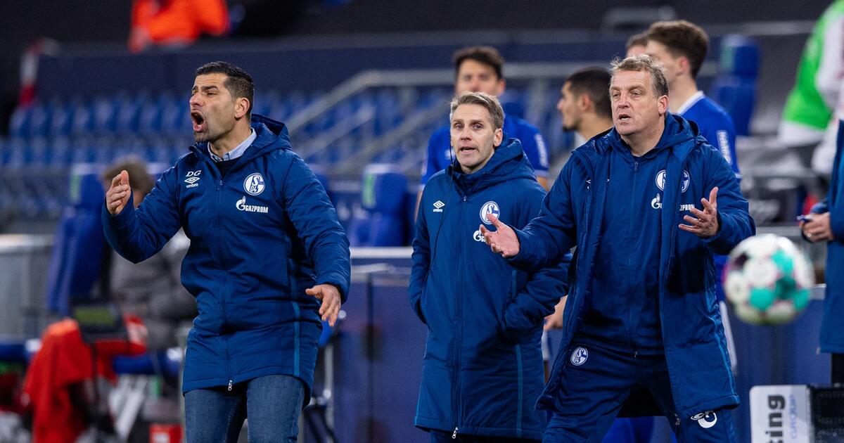 Übler Abstiegs Kick bei Grammozis Rekord Debüt als Schalke Coach WEB DE