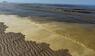 Braunalgen am Strand Norderney