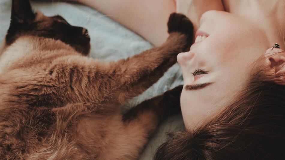 Deine Katze liebt Dich und das sind die Gründe:
