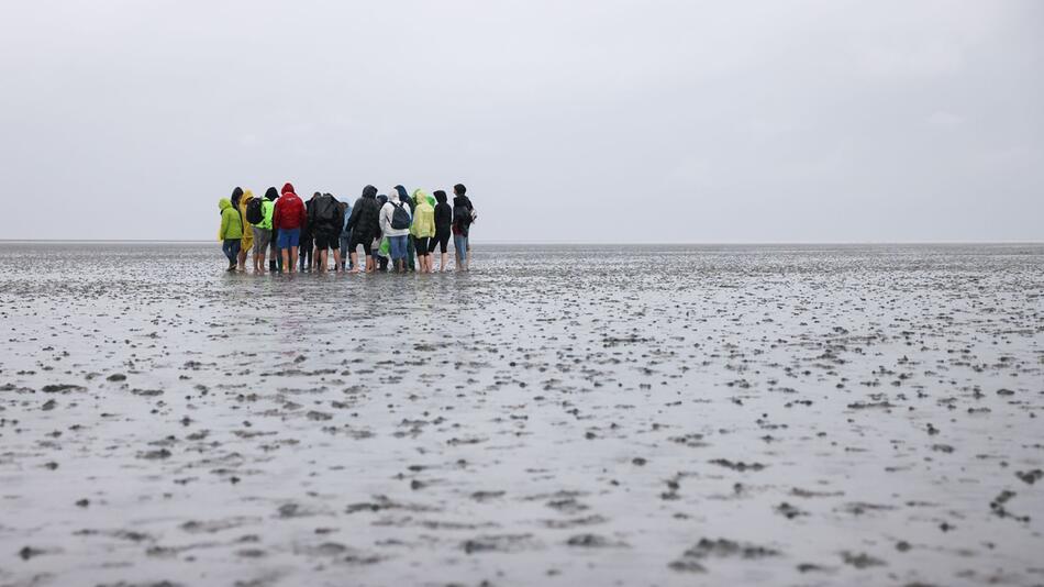 Nationalpark Wattenmeer