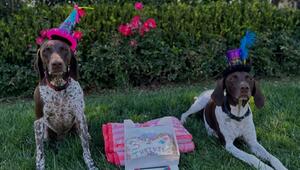 Heidi Klum feiert Hundegeburtstag: Uschi und Jäger werden drei