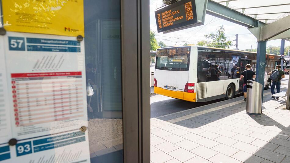 Busverkehr soll wieder regulär rollen