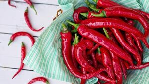 Frische Peperoni schmecken und sind gesund!