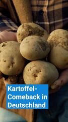 Der Hype um die Kartoffel