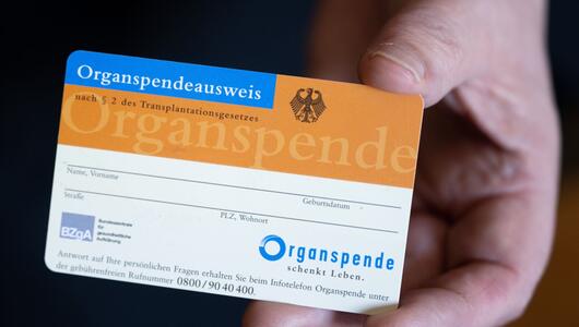 Eine Frau hält einen Organspendeausweis in ihren Händen