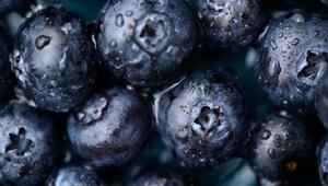 Warum es sich lohnt, täglich eine Tasse wilde Blaubeeren zu essen