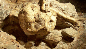 Der Schädel von "Little Foot" wurde in der Sterkfontain-Höhle in Südafrika entdeckt.